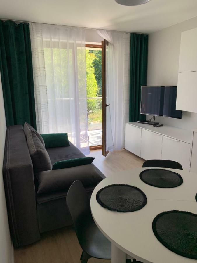 Apartament Skalisty 卡尔帕奇 外观 照片