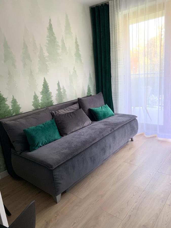 Apartament Skalisty 卡尔帕奇 外观 照片