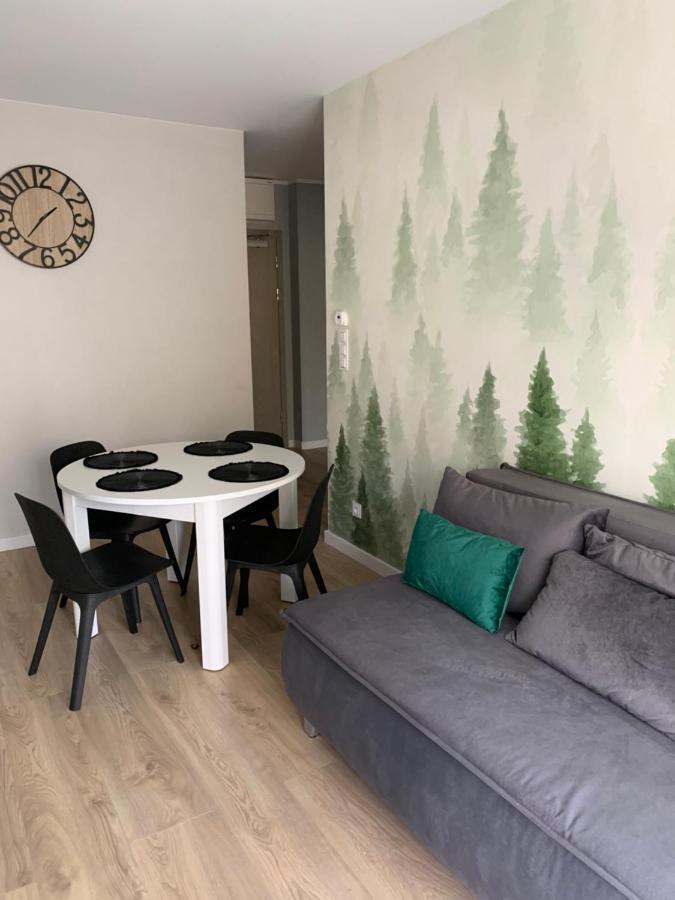Apartament Skalisty 卡尔帕奇 外观 照片