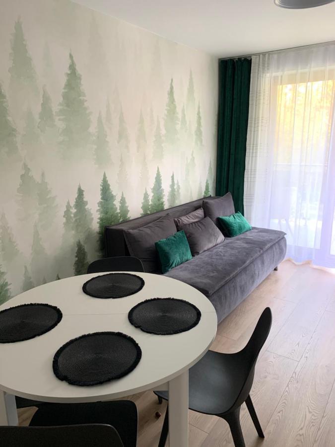 Apartament Skalisty 卡尔帕奇 外观 照片